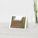 Search for brown eye cards Photography