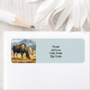 Search for moose return address labels Nature