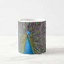 Search for exotic pets mugs Nature