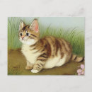 Search for vintage cat art postcards Cute
