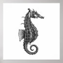 Search for seahorse posters Ocean