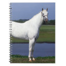 Search for horse notebooks Appaloosa
