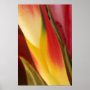 Search for heliconia posters Green