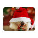 Search for bichon frise christmas cards Animal