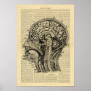 Search for human anatomy posters Brain