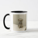 Search for collared mugs Animal