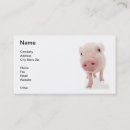 Recherche de porcs roses cartes visite Porcelet