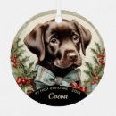 Search for chocolate labrador gifts Puppy