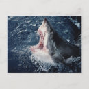 Search for open mouth Colour image