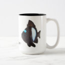 Search for damselfish Marine