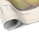 Search for pear wrapping paper Green