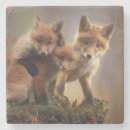 Recherche de petit renard dessous de verres Mignon