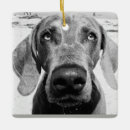 Recherche de weimaraner ornaments De