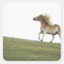Search for running horses stickers Nature
