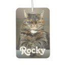 Search for name car air fresheners Cat