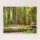Search for redwood national park puzzles Woodland