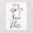 Search for pink flamingo save the dates Party