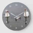 Recherche de cygne horloges Cygnes blancs
