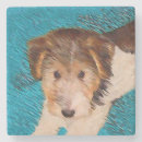 Search for wired coasters Wire fox terrier
