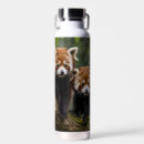 Recherche de panda rouge mugs bouteilles Bébé