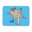 Search for gliders magnets Flying squirrel