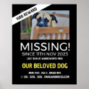 Search for lost posters Missing pet