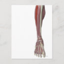 Search for foot doctor posters Work