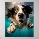Search for swim design posters Animal lover