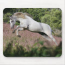 Recherche de galoper cheval tapis souris Équestre
