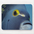 Recherche de francais tapis souris Mer
