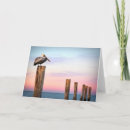 Search for florida fort cards Ocean