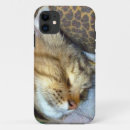 Recherche de maine coon iphone coques Tabby
