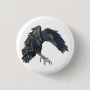 Search for black crow buttons Animal