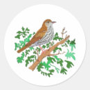Search for songbirds stickers Nature