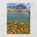 Search for ansel adams wilderness postcards California