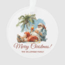Search for santa on the beach ornaments Family