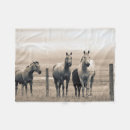 Search for alberta fleece blankets Superstock
