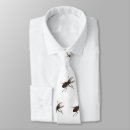 Search for beetle ties Insect