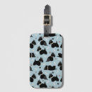 Recherche de os accessoires Chien