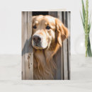 Search for barn door cards Rustic