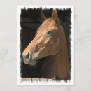 Search for thoroughbreds invitations Horse