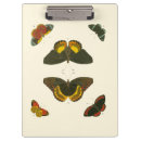 Recherche de lumineux porte blocs Papillons