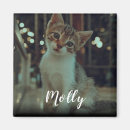 Recherche de chiens et chats magnets Votre photo ici