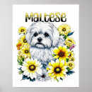 Search for dog owner posters Watercolor