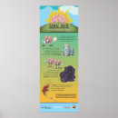 Search for infographic posters Brain