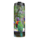 Search for rainbow parrot mugs Lorikeets