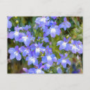Recherche de myosotis de cartes postales Pour tous