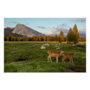 Recherche de personnes art Montagne