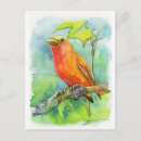 Search for robin painting postcards Bird