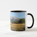 Search for barn mugs Vintage